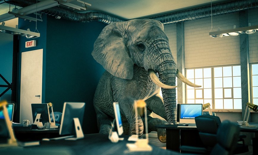 How an engineer deals with an elephant in the room